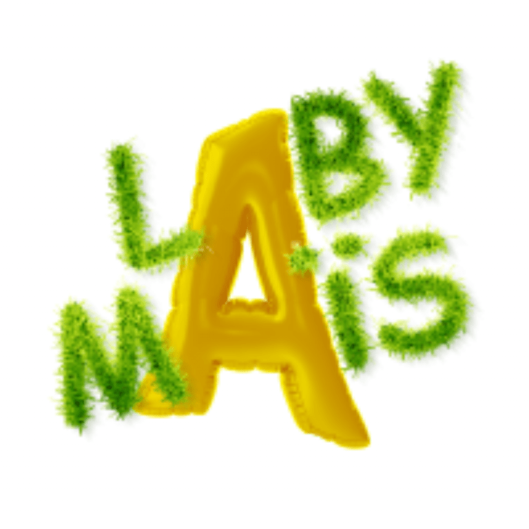 Logo Labymaïs
