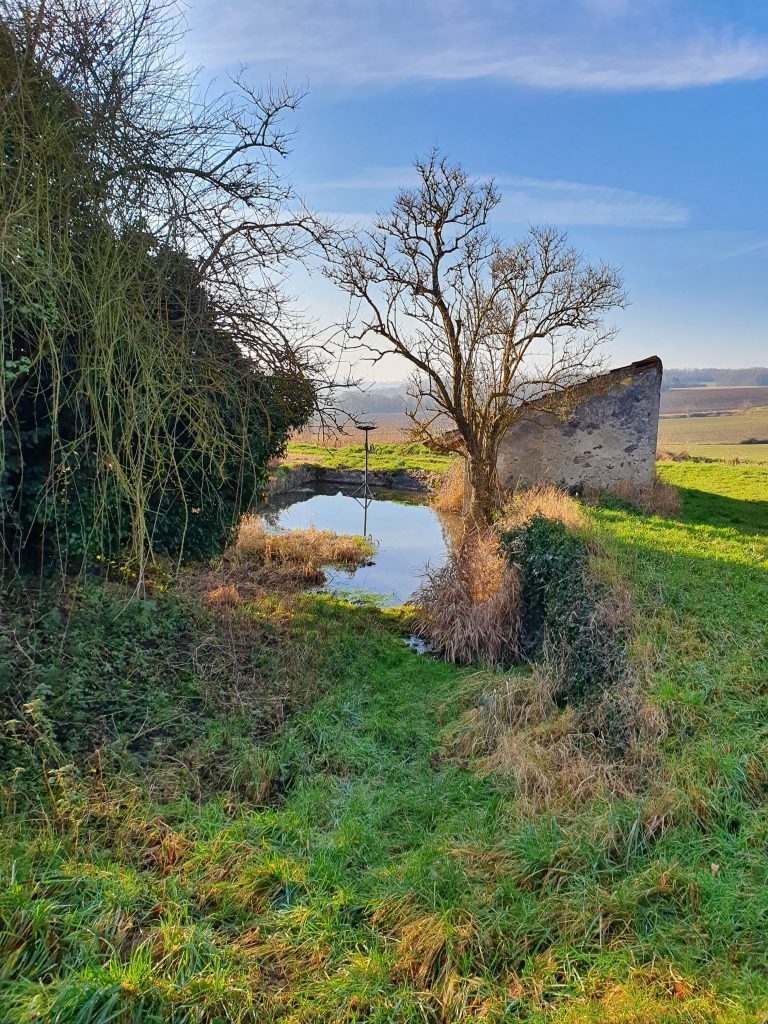 printemps-vallee-2-morin-seine-et-marne