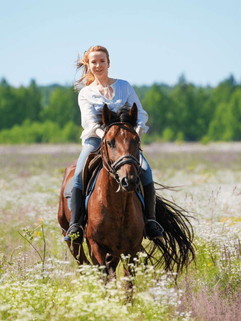 balade à cheval au printemps dans les 2 Morin