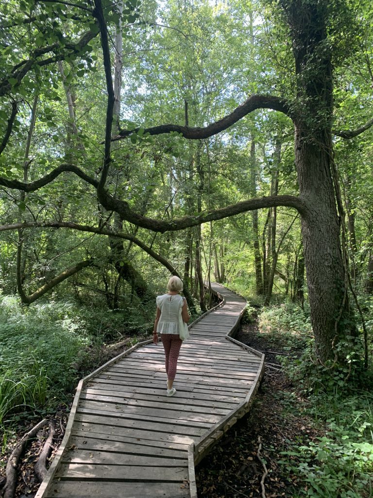 Sentier de randonnée au printemps dans les 2 Morin en Seine-et-Marne