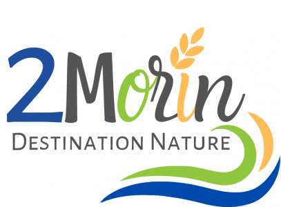 Logo 2 Morin