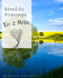 Paysage printanier dans les 2 Morin